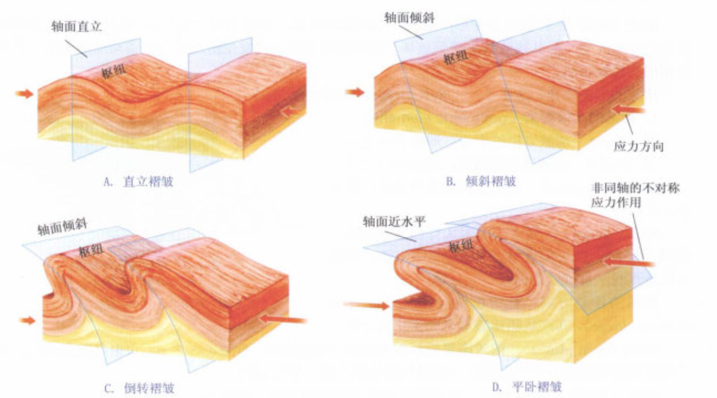 按照产状划分褶皱