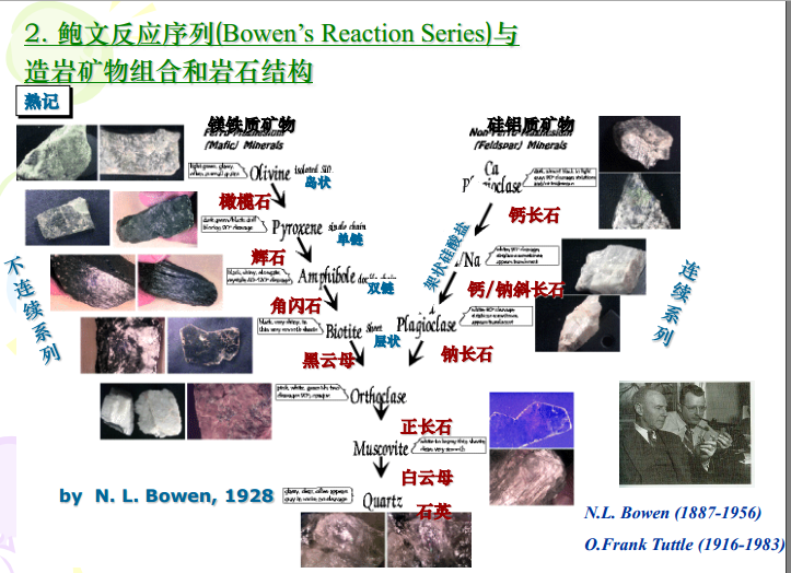 鲍温反应系列